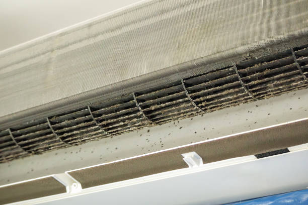 Best Air Duct Cleaning Company Near Me  in Fort Montgomery, NY